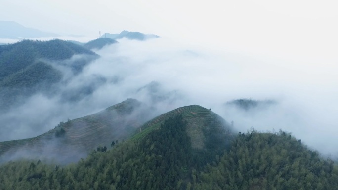 高山云海