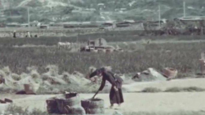 40年代广东乡村农民铁路山川河流水牛养殖