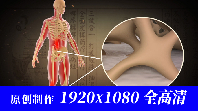 颈、腰椎纤维环关节骨刺增生风寒湿毒三维