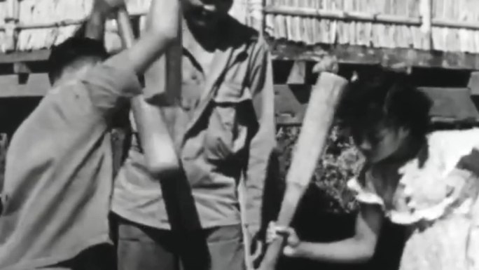40年代海南岛农村农民耕种播种插秧水稻