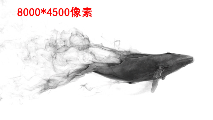 水墨鲸鱼8k（01）-绿屏抠像