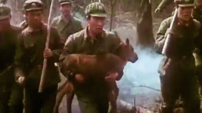 大兴安岭火灾 森林大火 消防 80年代