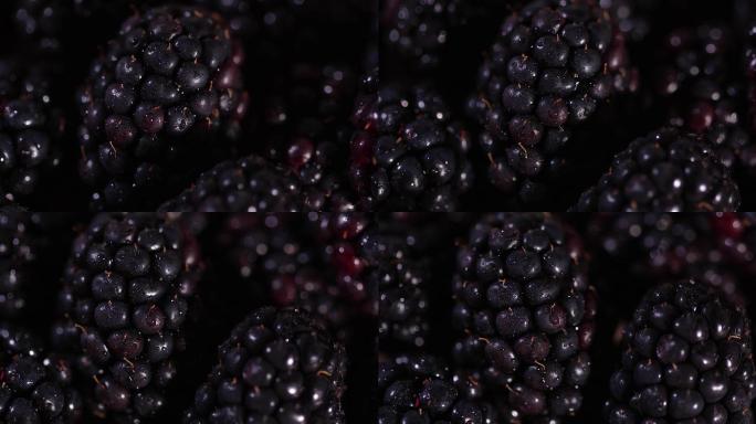 4K树莓桑葚新鲜水果