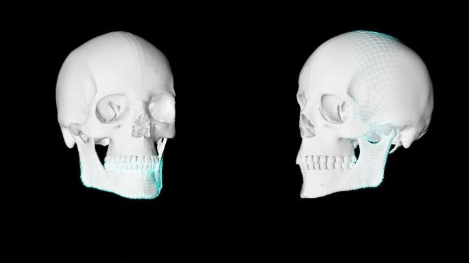 骷髅头旋转网格扫描