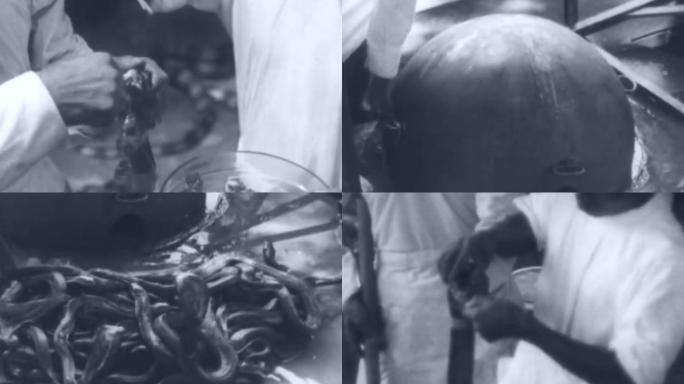 20年代东南亚传统民俗饲养眼镜蛇取蛇毒