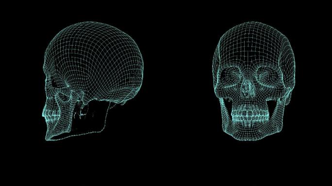 骷髅头线框图旋转