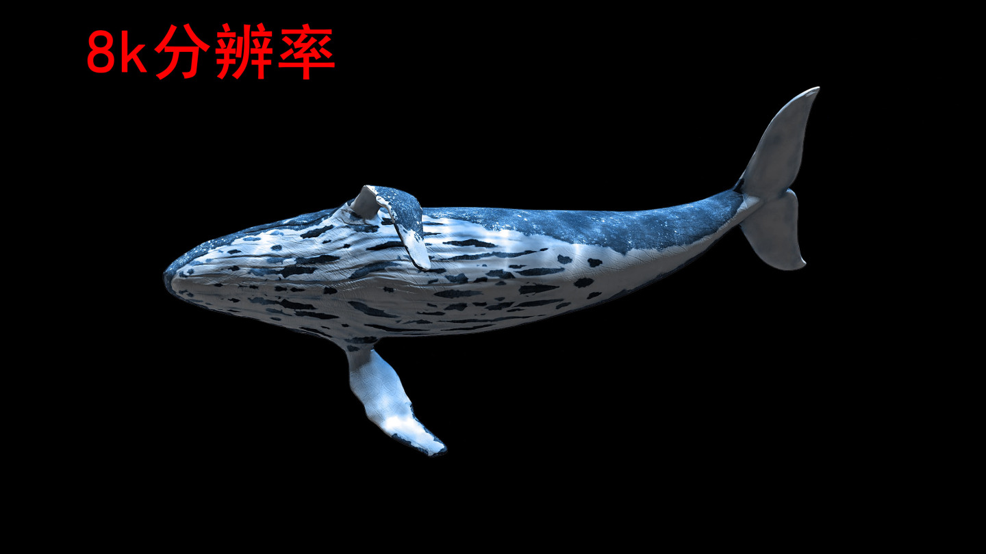 鲸鱼8k（04）-绿屏抠像