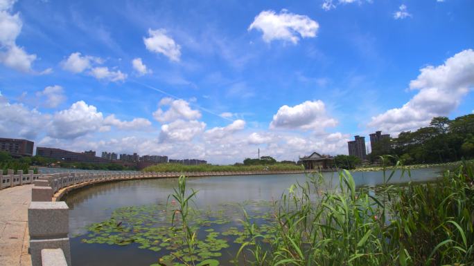 东莞松山湖松湖烟雨延时摄影