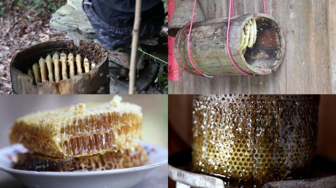 土蜂蜜制作过程