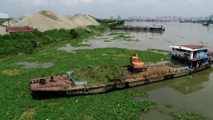 航拍船舶在汉江河流里打捞水草