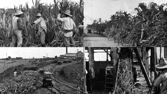 30年代民族工业实业救国第一批机械化制糖