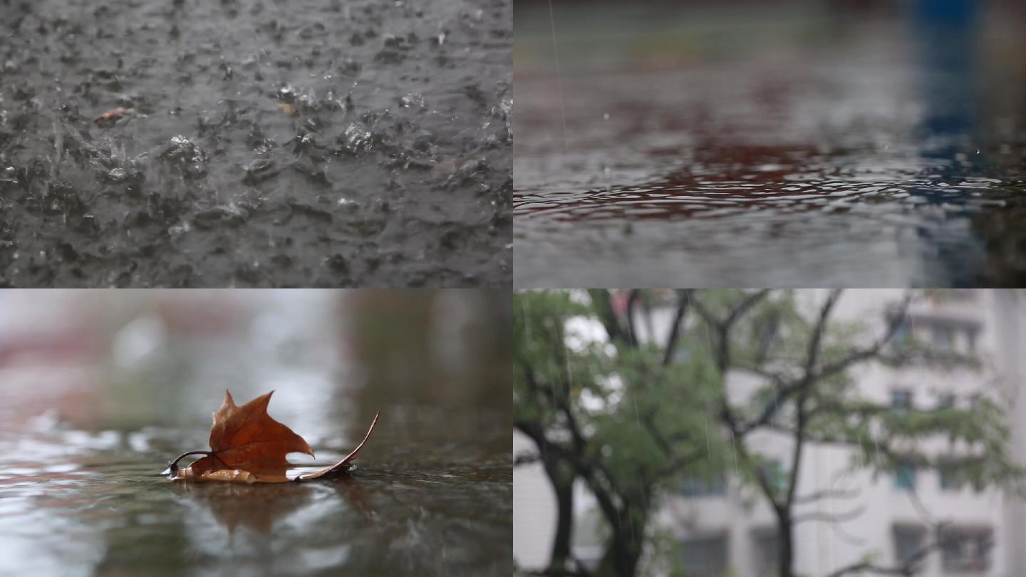 下雨暴雨大雨打雷特写