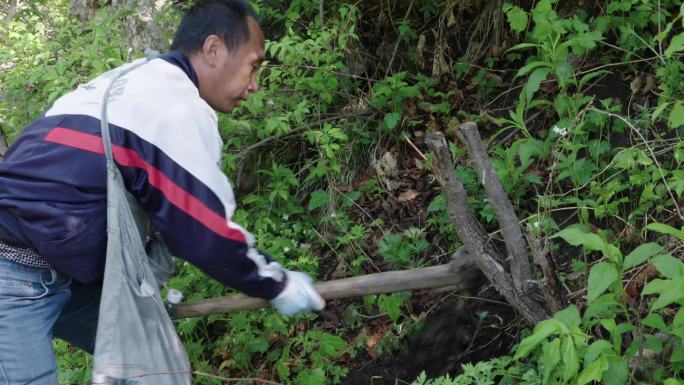 山里人进山挖草药