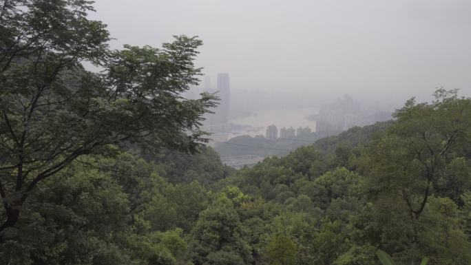 重庆洪峰过境城市受到影响