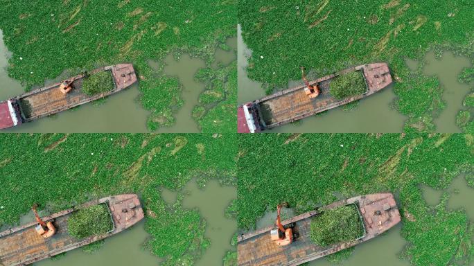 航拍船舶在汉江河流里打捞水草