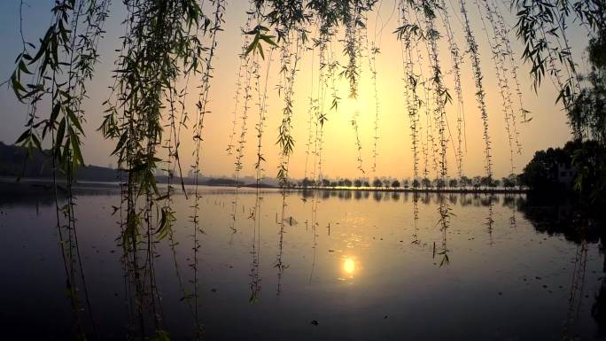 杭州白堤：西湖的早晨晨练的人们