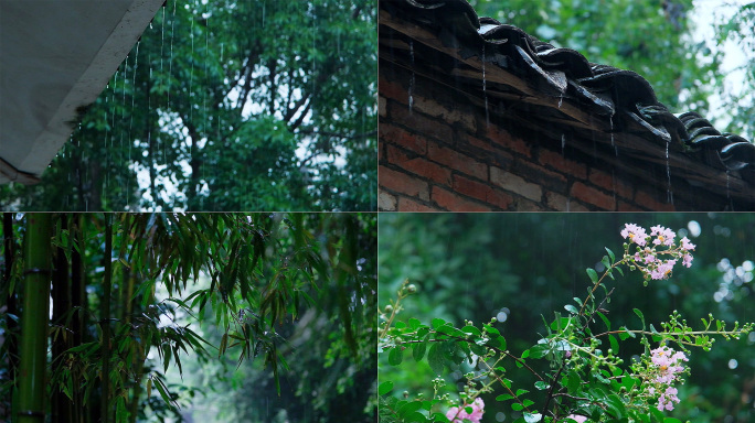 雨竹林下雨雷雨雨天雨滴雨水雨景