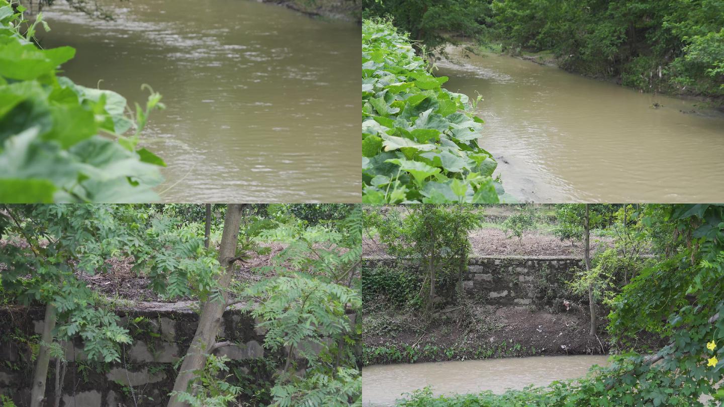 农村河提治理河道涨水