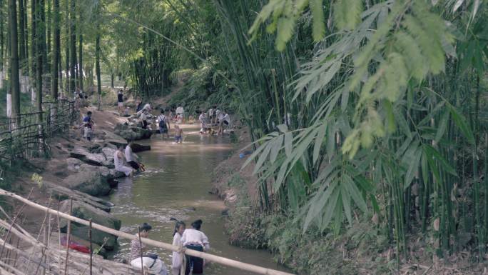 森林小溪竹林公园休闲戏水玩耍休闲的人们