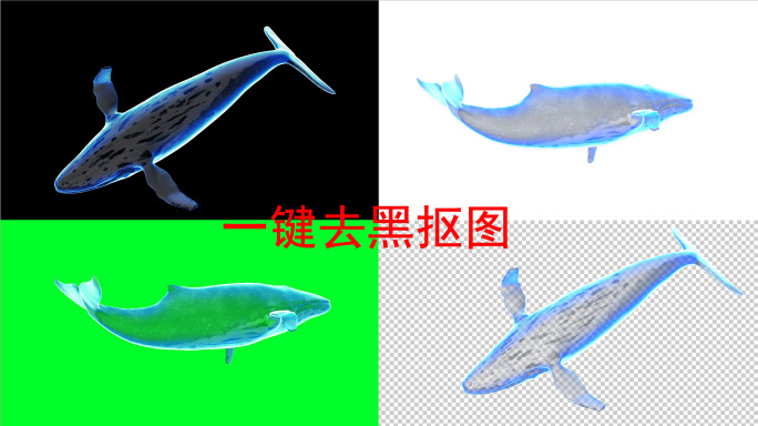 发光鲸鱼8k（04）