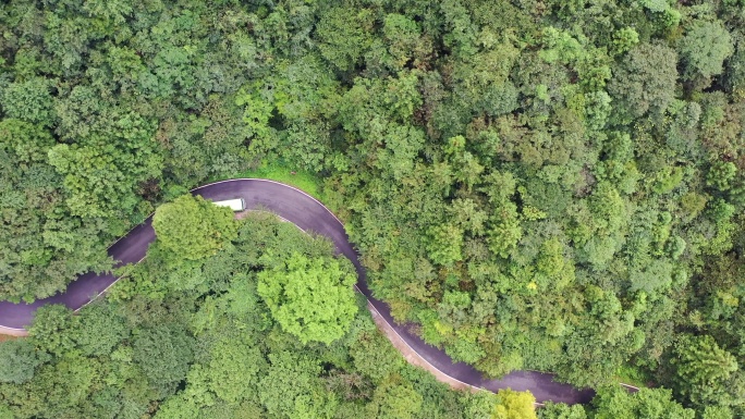 森林中的山路航拍4K视频
