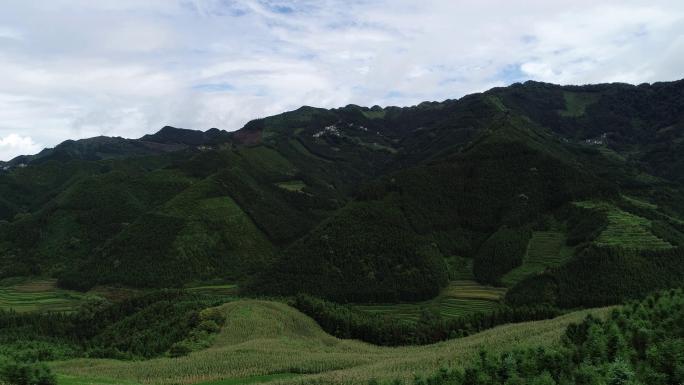 大山村庄梯田山谷4k航拍