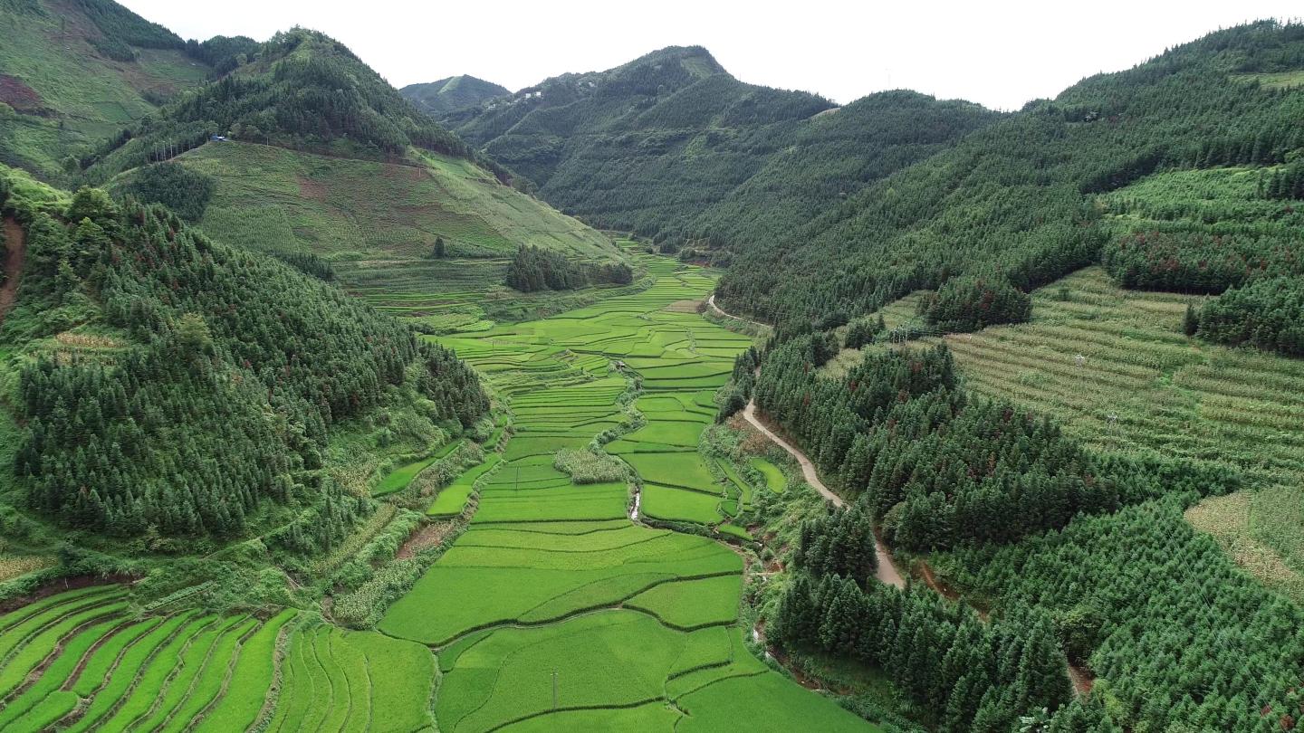 大山村庄梯田山谷4k航拍