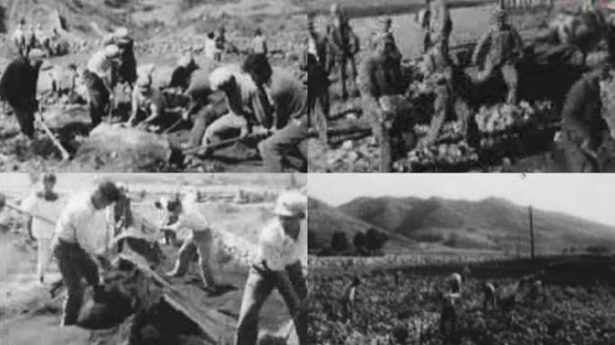 60年代中国军队军垦队农垦队农场