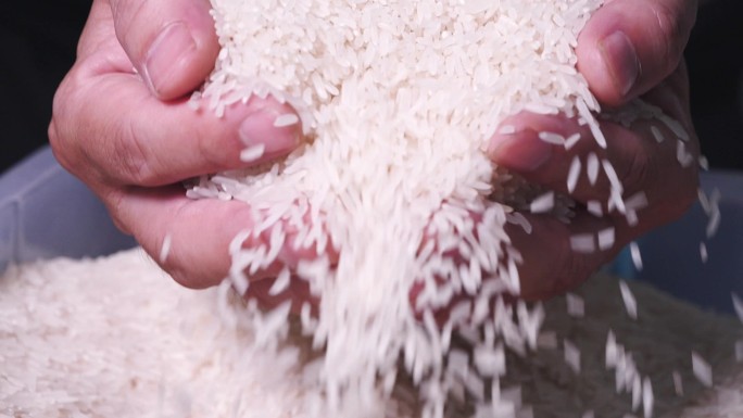 大米粮食，手捧米粒落下慢镜头视频素材