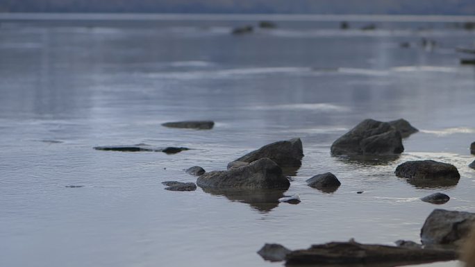 新疆喀纳斯湖湖水水边