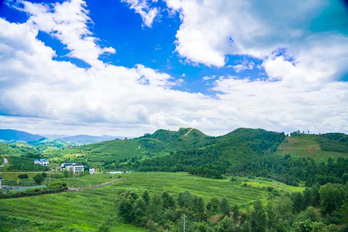 贵州麻江蓝莓基地风光延时摄影4K2