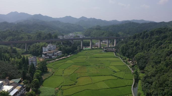 婺源李坑景区