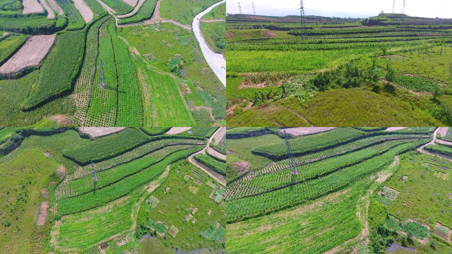 绿色农业生态文明绿色发展