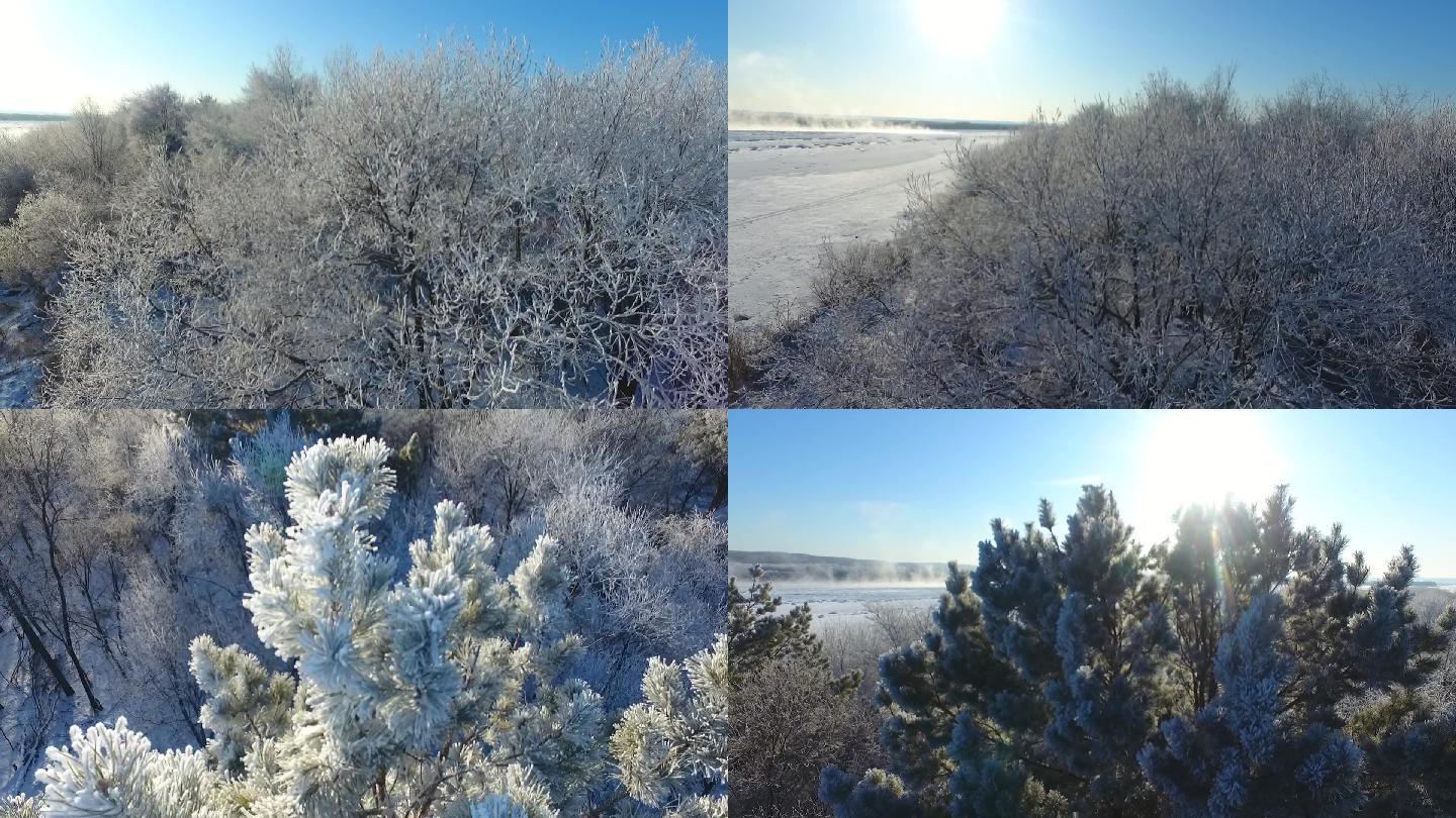 雾凇航拍黑龙江美轮美奂雪白