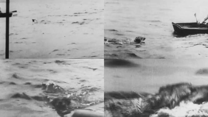 上世纪初20年代德国牧羊犬宠物犬游泳