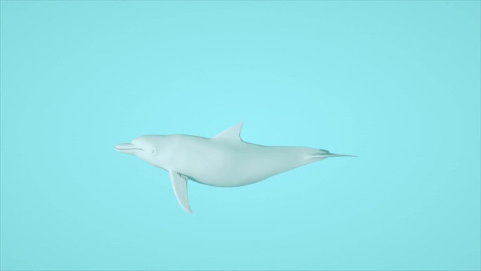 绑定骨骼的海豚