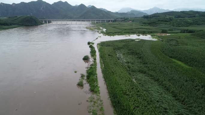 暴雨后