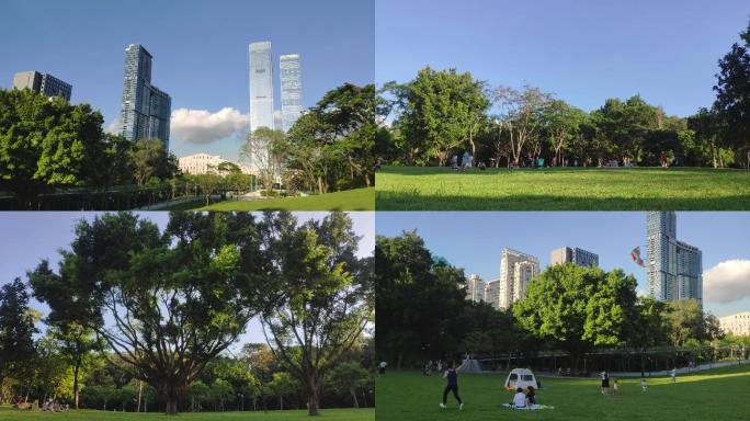原创公园里舒适草地树荫绿色城市