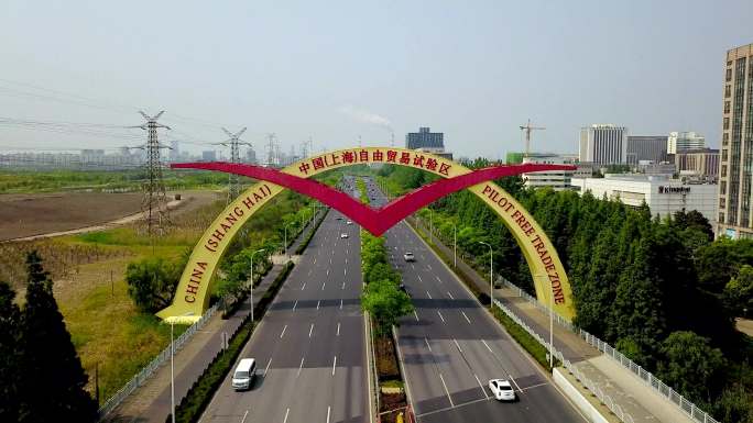 上海自由贸易试验区标志