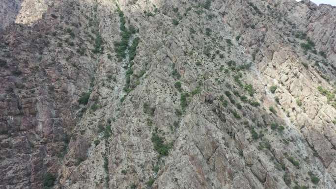 贺兰山森林公园苏峪口岩画