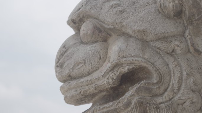 石雕石狮石猴雕刻4KA017