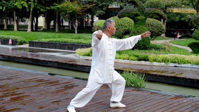 太极拳晨练退休生活杨氏太极太极