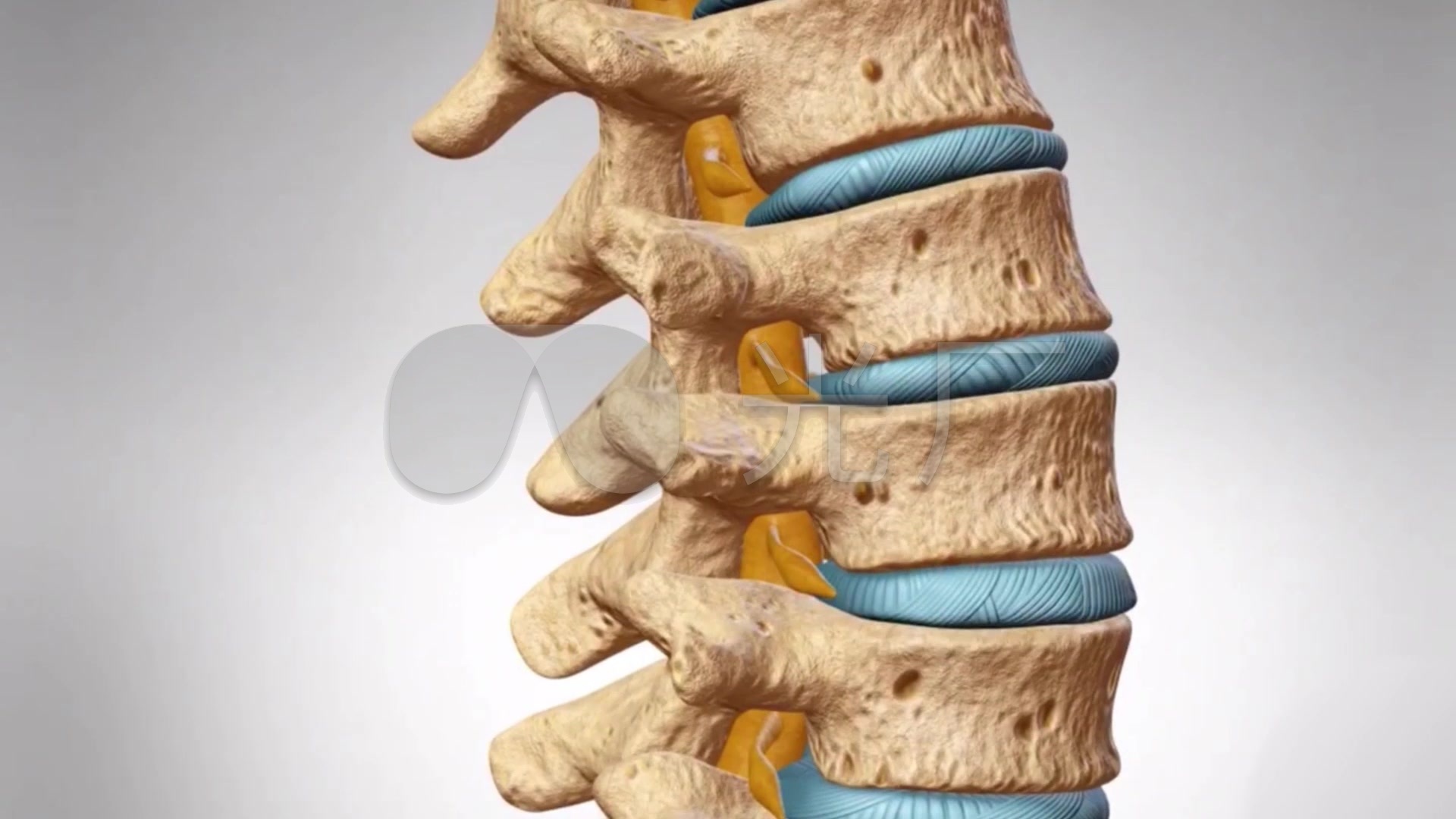 脊髓损伤怎样才能恢复?_患者_训练_治疗