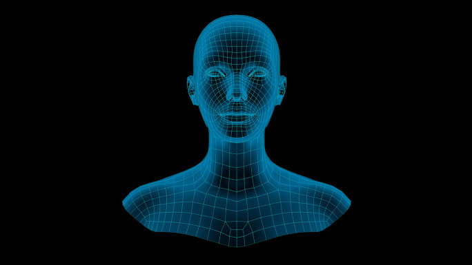 女扫描人脸识别信息半身网络网格信息科技