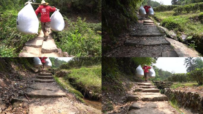 深山小路中扁担挑茶的挑茶工人