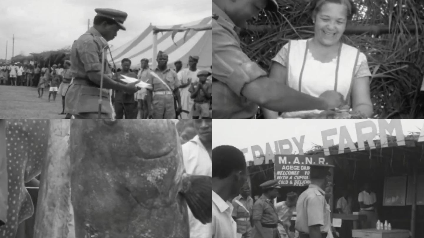 60年代伊巴丹尼日利亚农业农副产品农用机