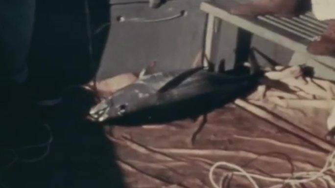 40年代欧洲度假假期渔船出海捕鱼