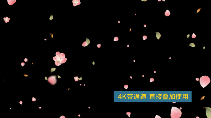4K手绘桃花飘桃花雨-循环