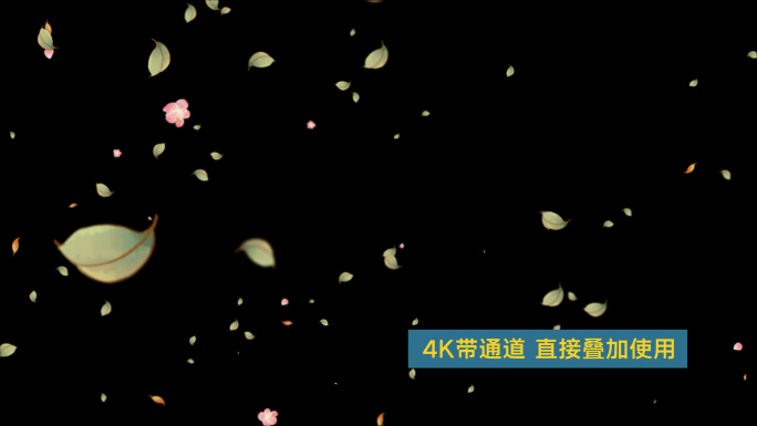 【原创】4K手绘桃树叶飘-循环