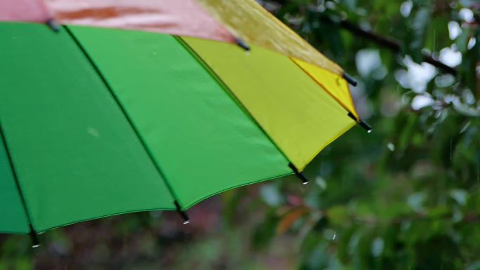 一组雨中即景4K视频